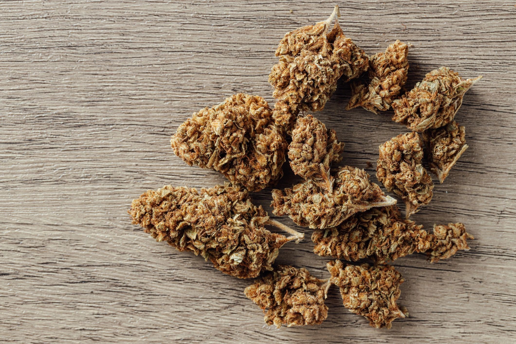 Dried green flower buds